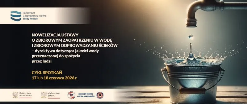 Czy mogę odprowadzić cię do domu? Oto, co warto wiedzieć przed podjęciem decyzji