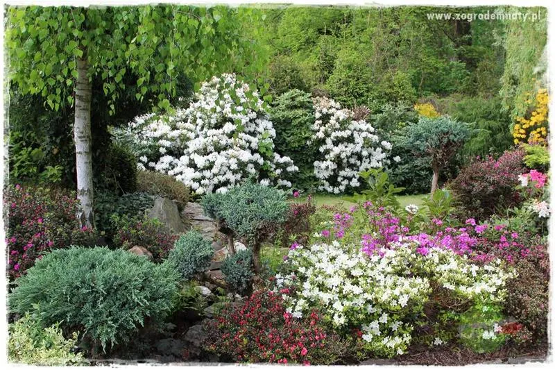 Ile kosztuje budowa wymarzonego domu w rododendronach?