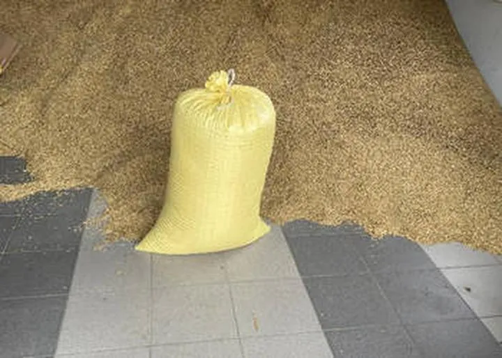 Ile kosztuje worek owsa? Sprawdź aktualne ceny i oferty na rynku!