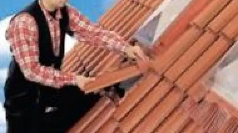 Praktyczne porady, jak umeblować pokój dzienny z sypialnią, by stworzyć przestrzeń pełną harmonii