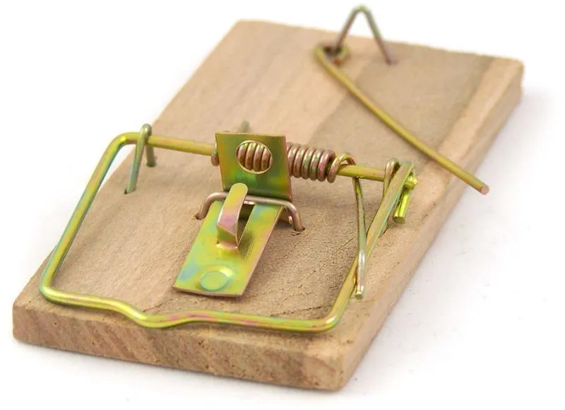 Praktyczny przewodnik: jak skutecznie zamontować łapkę na myszy