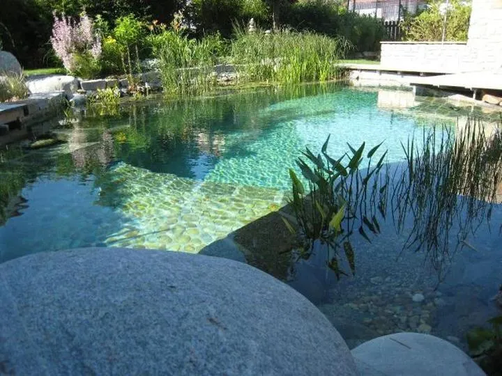 Zainwestuj w relaks: jaki jest koszt budowy stawu kąpielowego?