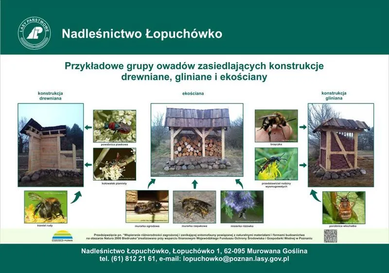 Zastosowanie gliny w nowoczesnym budownictwie domów – co warto wiedzieć?