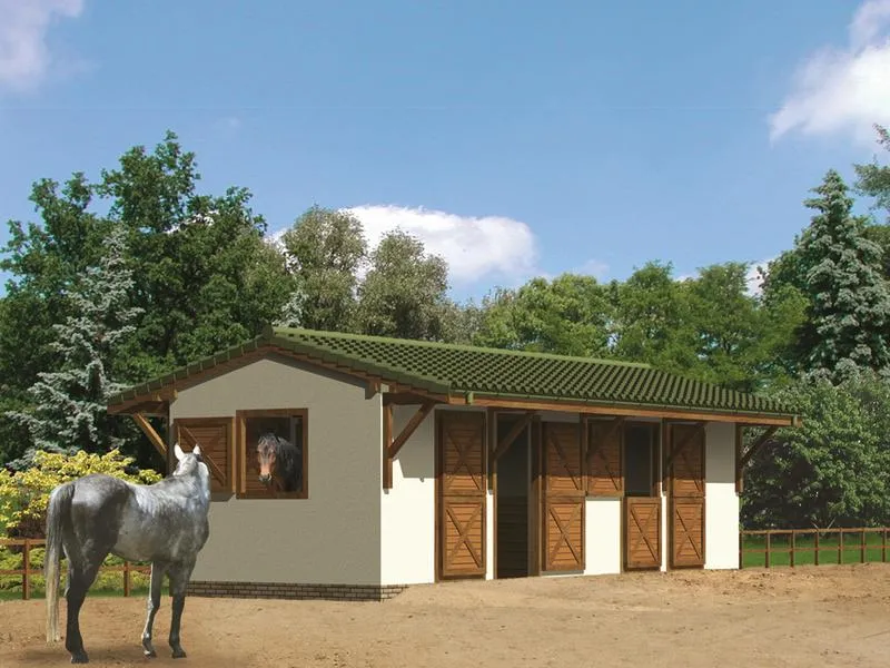 Budowa stajni poradnik