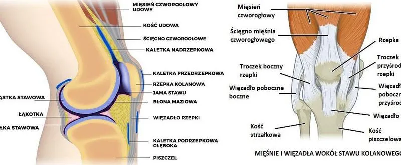 Budowa stawu kąpielowego
