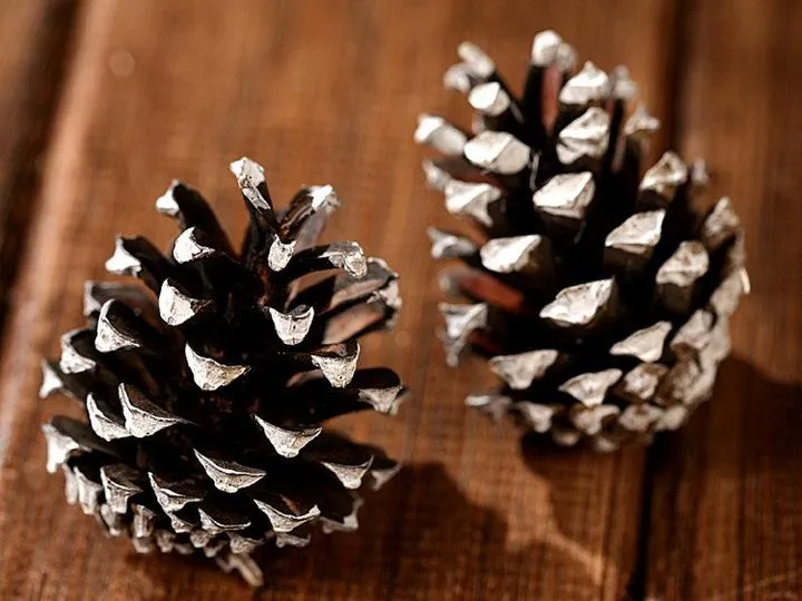 Efekty malarskie na szyszkach