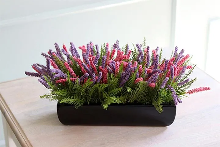 Odmiany wrzosów do wnętrza