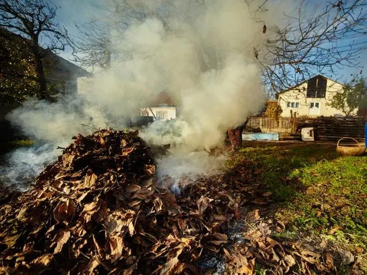 Palenie liści w ogrodzie