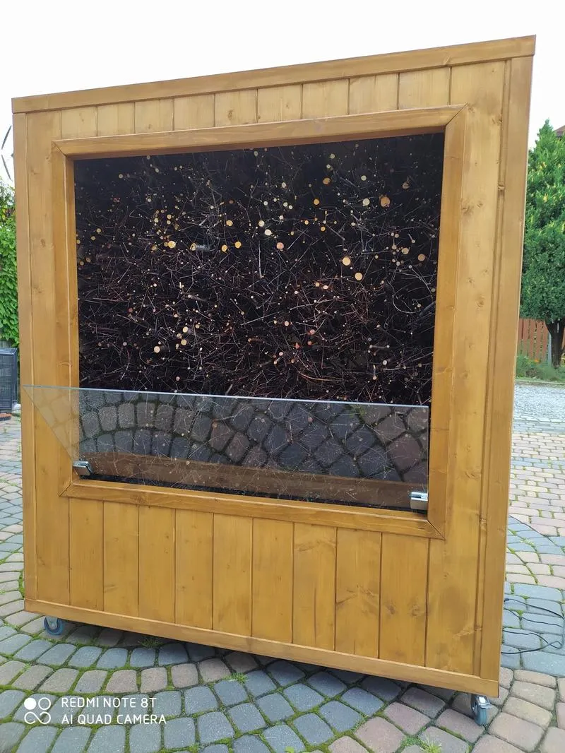 Projektowanie tężni w ogrodzie